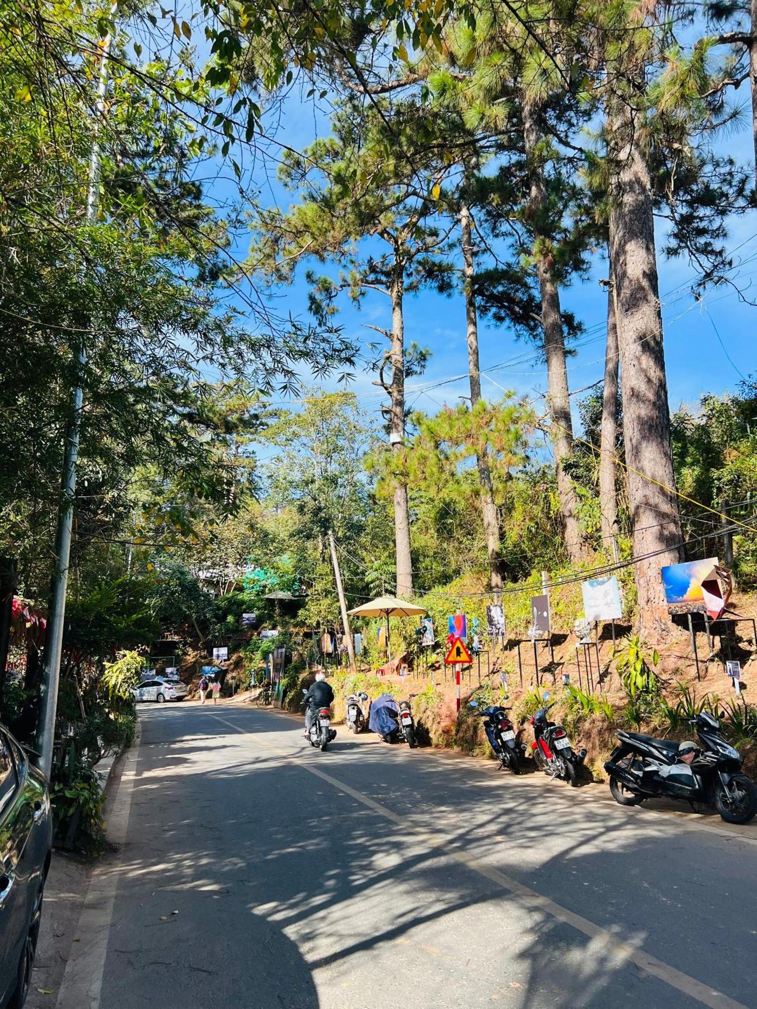 Nature Hotel - Dalat 3 Ngoại thất bức ảnh