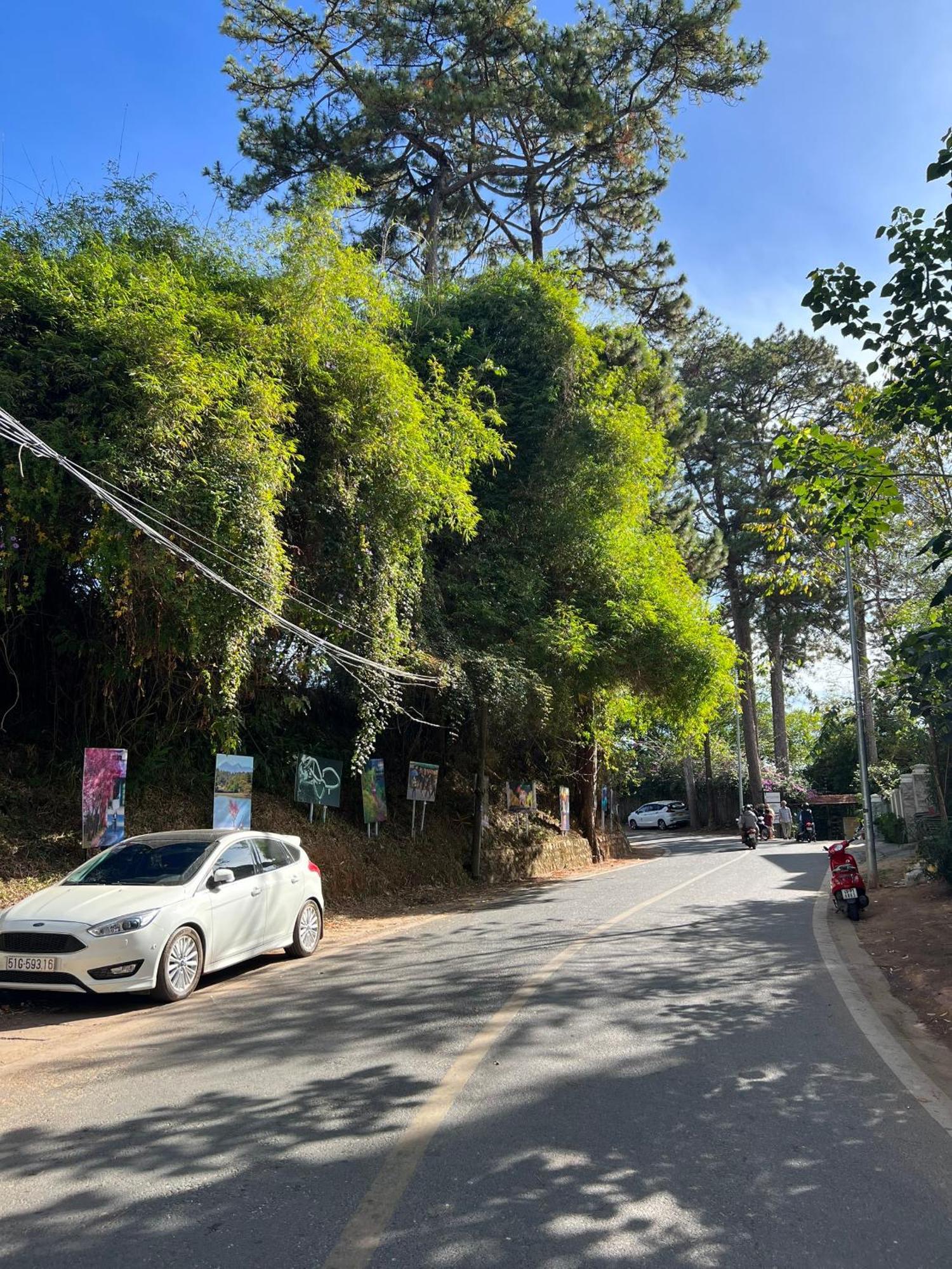 Nature Hotel - Dalat 3 Ngoại thất bức ảnh